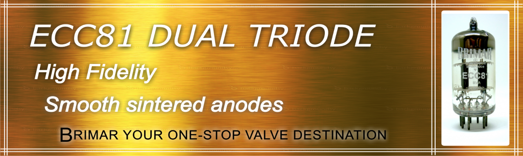 ECC81 Dual Triode